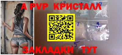 прущие грибы Краснознаменск
