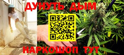 прущие грибы Краснознаменск