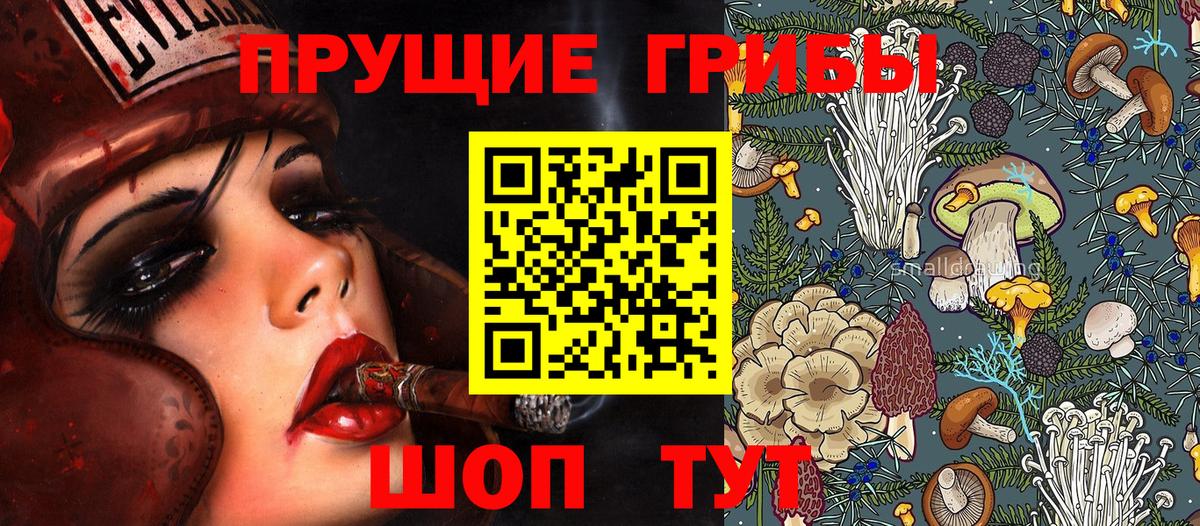 Хасавюрт  Галлюциногенные грибы MAGIC MUSHROOMS  Вход с VPN  Галлюциногенные грибы GOLDEN TEACHER 