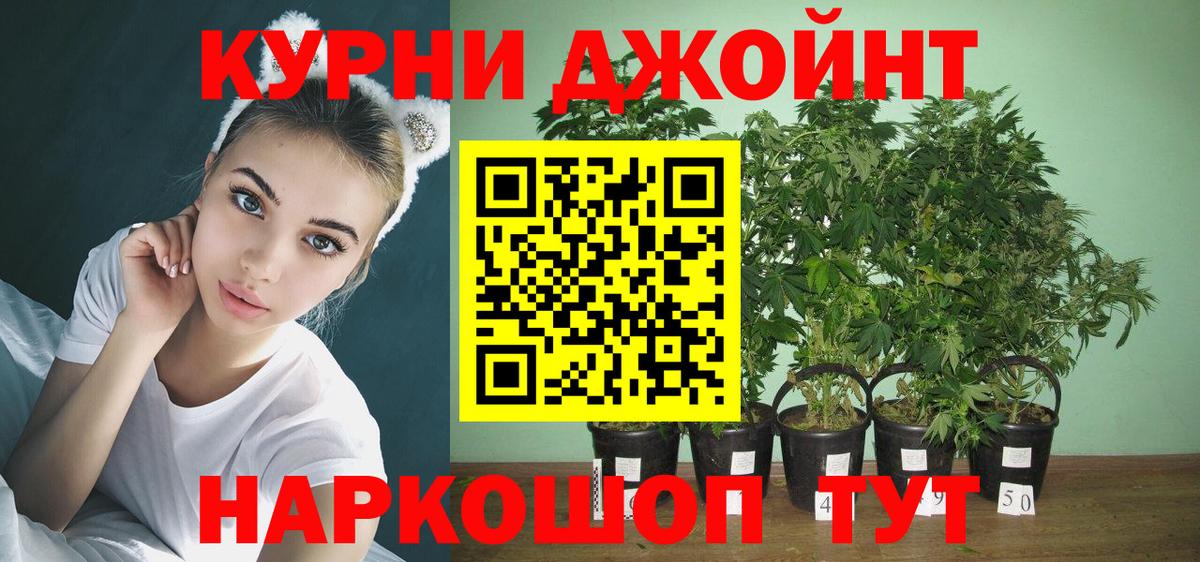 МАРИХУАНА Ganja  Бошки Шишки SATIVA & INDICA  Хасавюрт  Шишки марихуана SATIVA & INDICA  Вход с VPN 